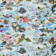 Tissus Peche Miraculeuse