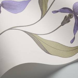 Papier peint Orchid