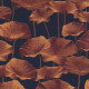 Papier peint Izumi