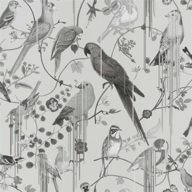 Papier Peint Birds Sinfonia